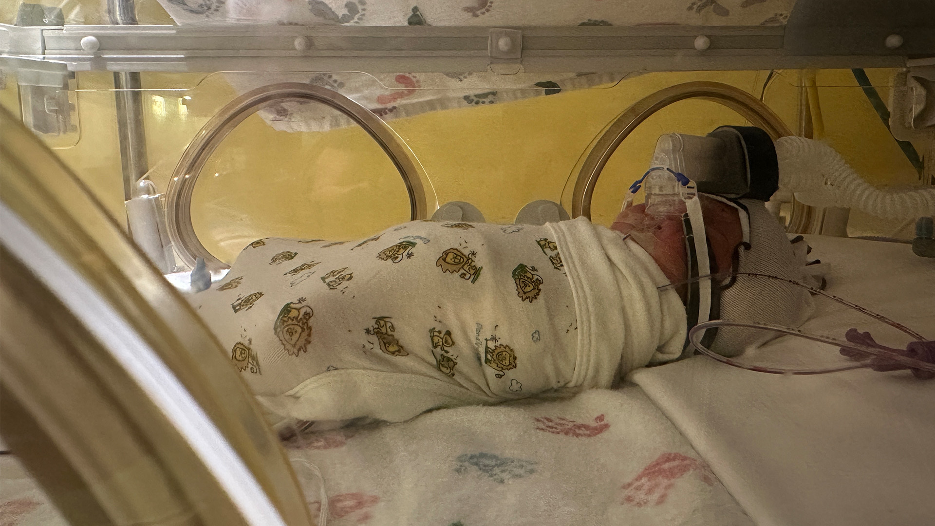 A parent reaching through a NICU isolette